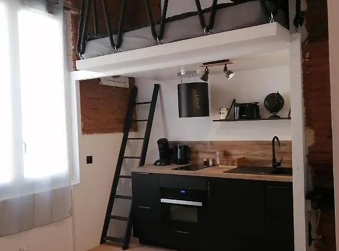 Charmant Studio De 20M2 En Hypercentre De Toulouse