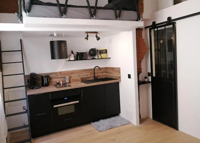 Charmant Studio De 20M2 En Hypercentre De Toulouse