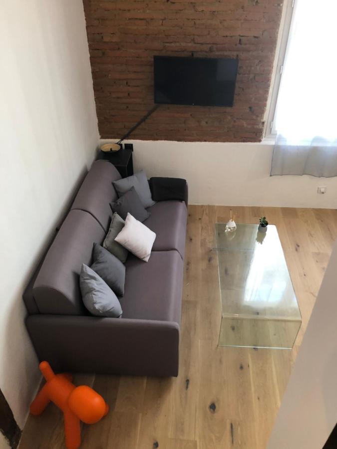 De 20m2 En Hypercentre De Apartment Toulouse