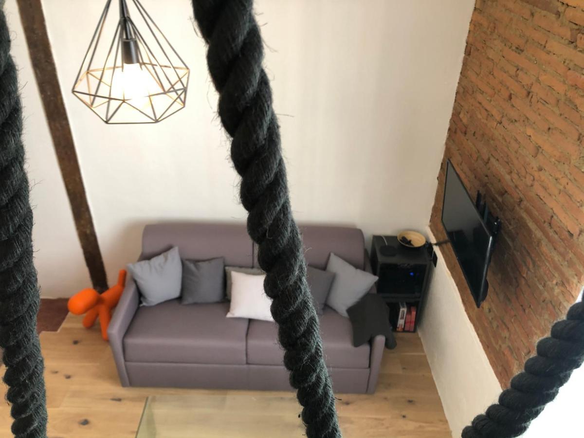 Apartment De 20m2 En Hypercentre De Toulouse