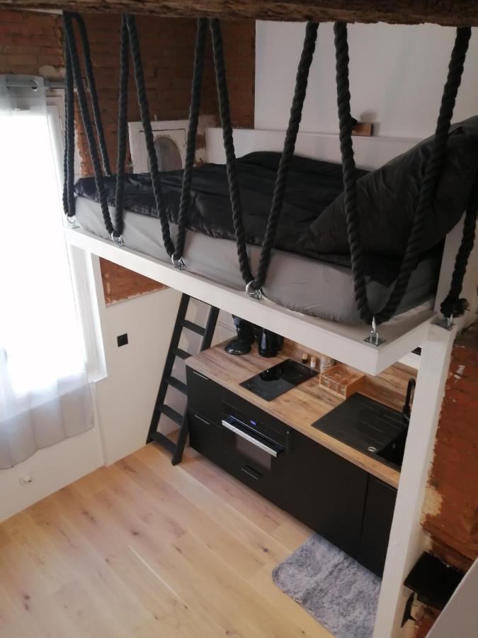 Apartment De 20m2 En Hypercentre De Toulouse