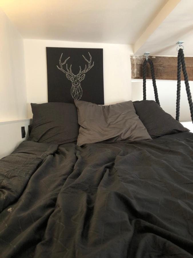 De 20m2 En Hypercentre De Apartment Toulouse